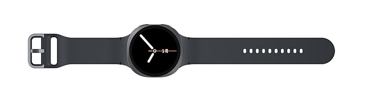 Samsung Galaxy Watch 8 L330 44mm BT Grafit